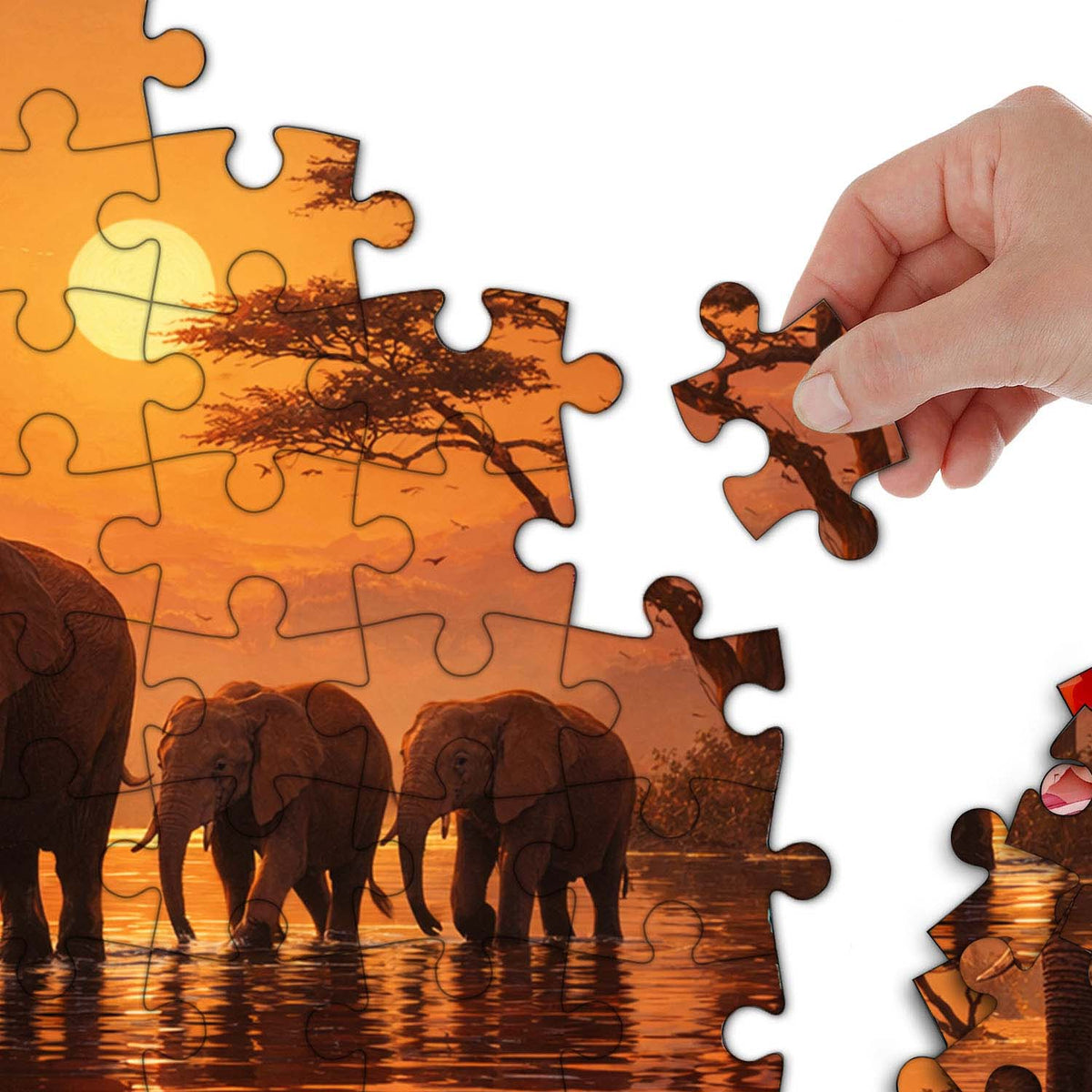 Sunset Elephant Family Jigsaw Puzzles GFTOHD14230